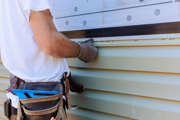 Best Insulated Siding Installation  in Lamont, MI